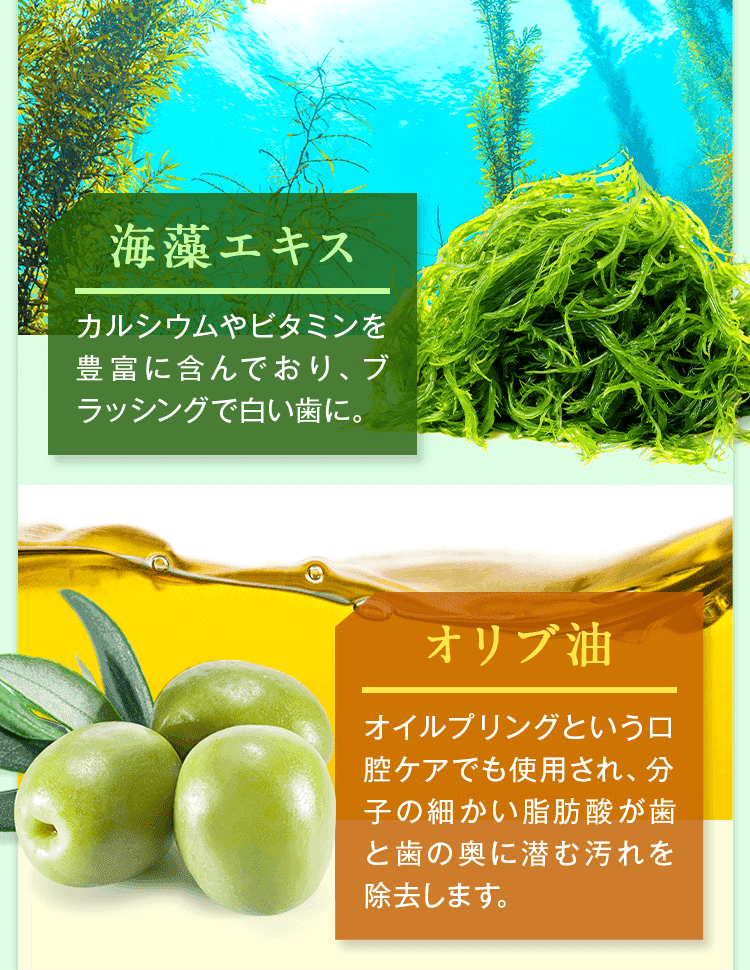 海藻エキス,オリーブ油