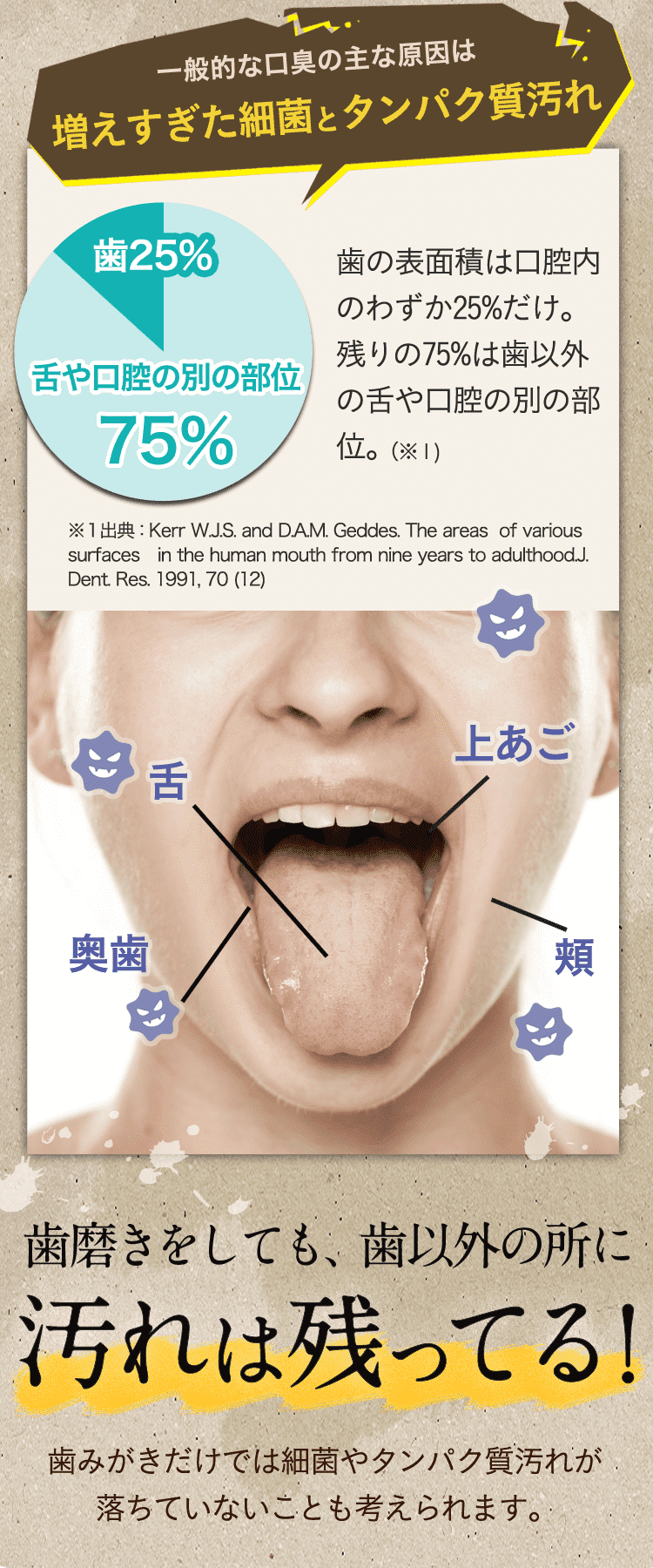 一般的な口臭の主な原因は増えすぎた細菌とタンパク質汚れ